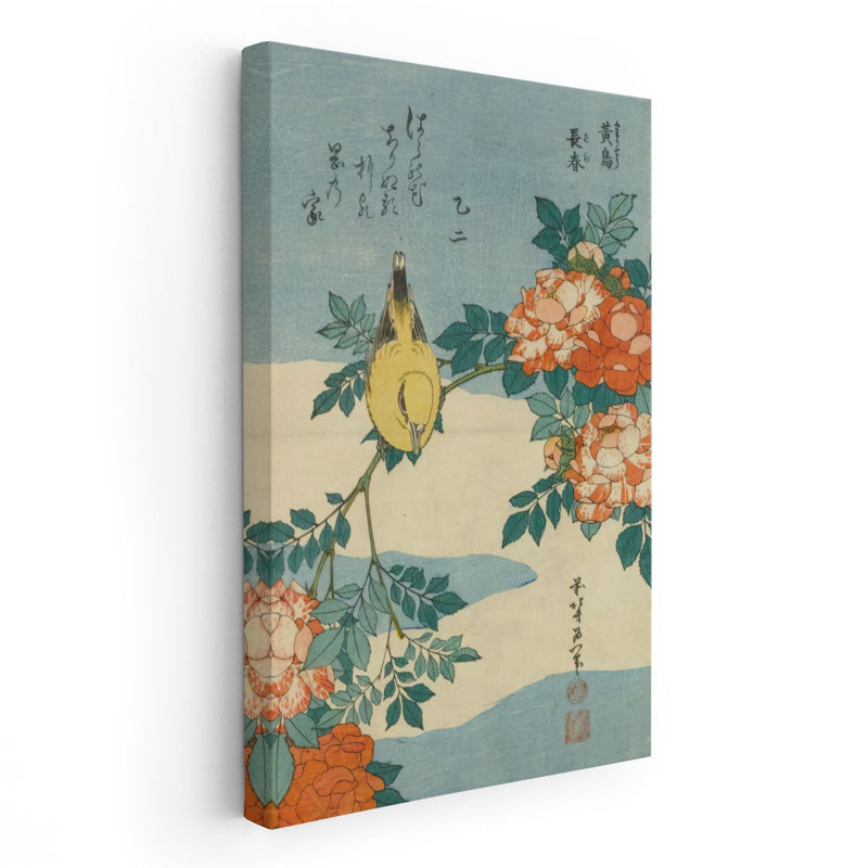 Oriole à nageoire noire et rose de Chine, 1833, reproduction d'art sur toile, H 30 po x l 20 po
