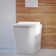Concorde Back-To-Wall Toilet Bundle 0.8/1.6 GPF Dual Flush In Glossy White With Flush Plate