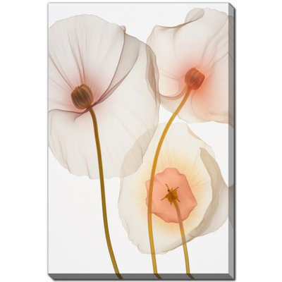 Art sur toile translucide jaune coquelicot I