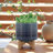 Elegant Outdoor Planter on Bamboo Stand for Living Room or Patio Styling - Modern Flower Pot Tabletop Accent for Indoor Home Decor or Office - Blue-1195818435-1195776358