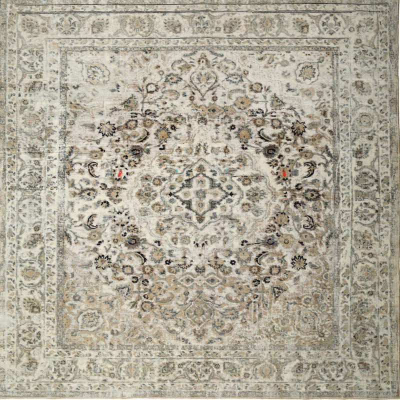 Cartie Oriental Indoor Rug, Square 6'