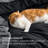 Bedsure Prewashed Bedding Set with Soft Fleece Microfiber Bed Blanket-110389551