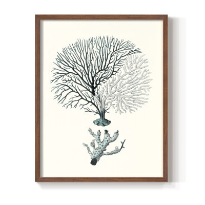 Antique Antique Coastal Coral III, reproduction encadrée - bois massif