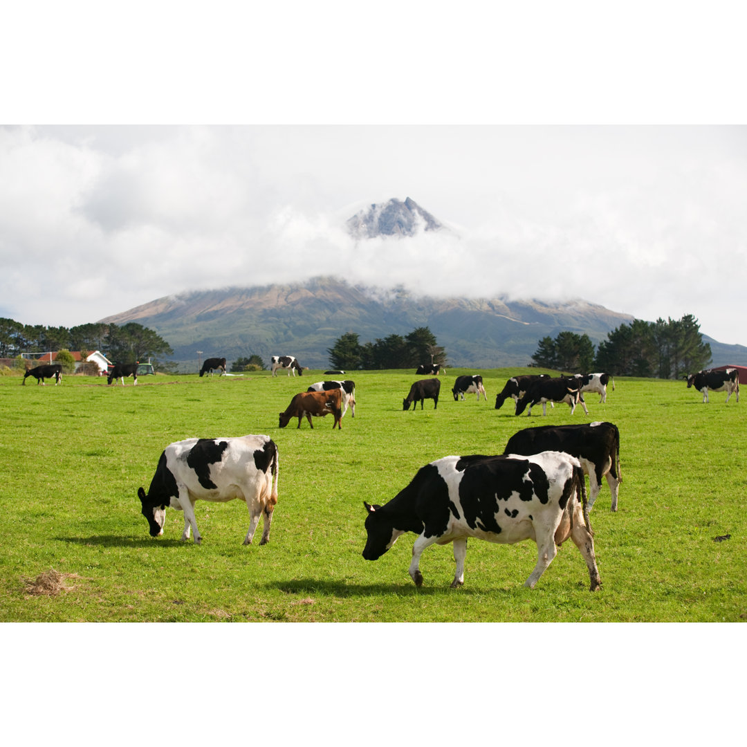 Vulkan Taranaki Übersicht von Larkyphoto - Drucken