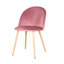 Mccaleb 43cm H Velvet Upholstered Metal Side Chair-2058928943