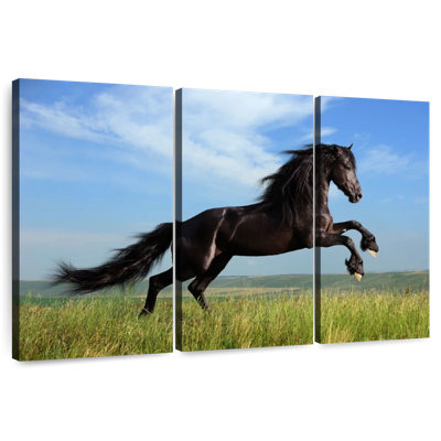 Brampt superbe cheval frison