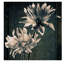 « two unconnaîts texture », reproduction de photo sur toile tendue-33536921