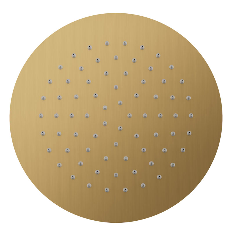 10-inch Single-Spray Round Rain Shower Head, Brushed Gold