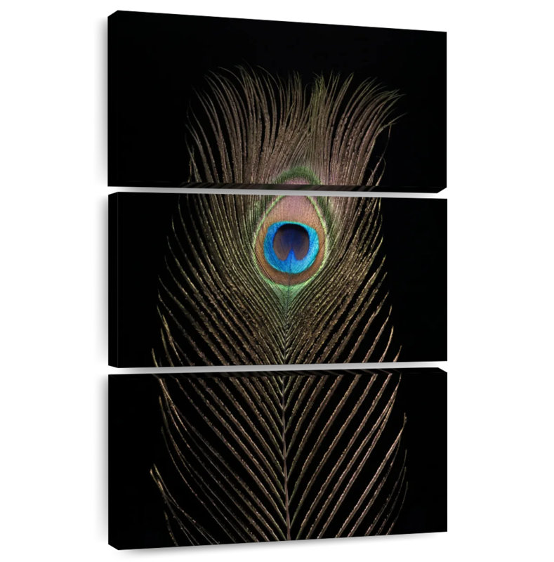 Brampt Posh Peacock Feather, 57" H x 36" W