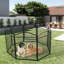 Enclos pour chien 8 panneaux