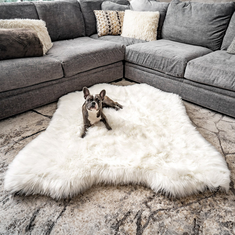  Tapis classique Puprug, H 2 po x l 35 po x P 40 po, Ours polaire