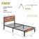 Alicia Platform Bed Frame with Wood Headboard and Footboard No Box Spring Needed