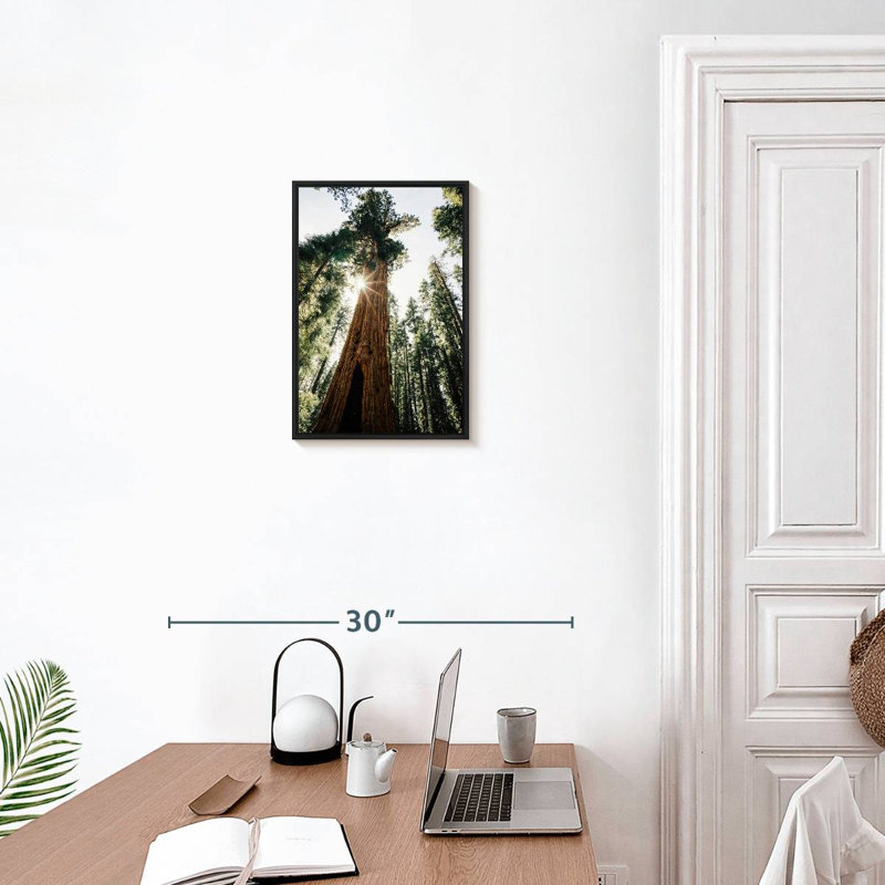 Arbre général Sherman ensoleillé, 13 po x 19 po, Cadre flottant noir