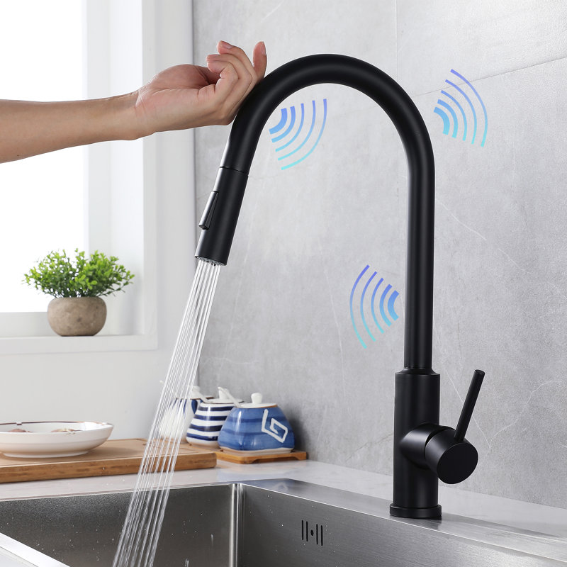 Robinet de cuisine Wareokol, Noir mat