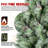 Scotch Pine Christmas Tree-1426091016
