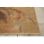 Tapis beige Asifa-1030719442