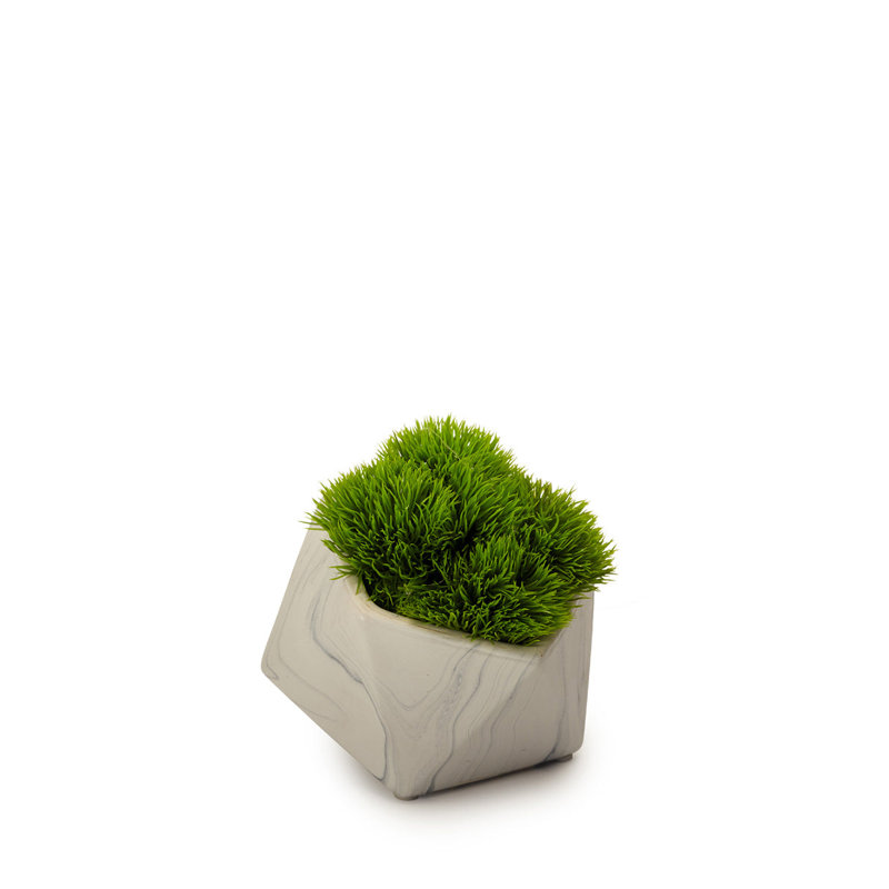 Plante grasse artificielle en pot