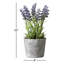 Pot de fleurs