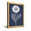 Plantes et fleurs marguerite blanche sur fond bleu marine-1690156779-1690156788-1690156789
