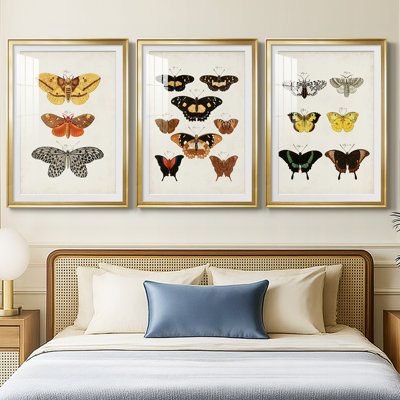 Vintage Butterflies IV  -Custom Framed  Premium Print W Matt - 3 Pieces