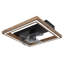 Crisel Ceiling Fan with LED Lights