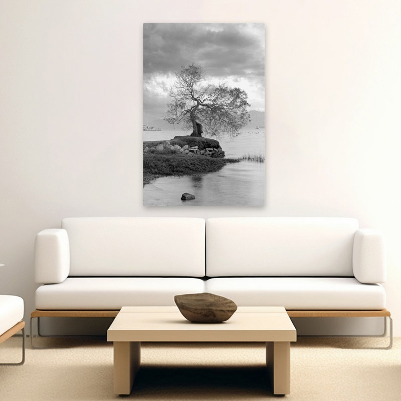 Coastal Oak Series No. 1 - Paysages, photographie, arbres, cours d'eau, art, H 60 po x l 40 po