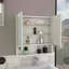 Pharmacie avec miroir Lexington, trois tablettes internes-935726045