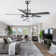 Eustolio 52'' DIY Shade Reversible Caged Ceiling Fan with Dimmable LED Light and Remote