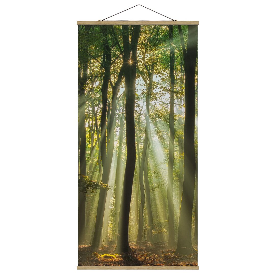 Wandbild Sonniger Tag im Wald