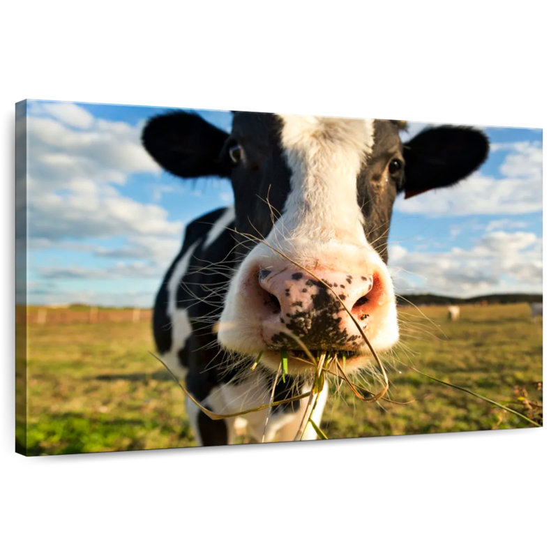 Brampt Cow Selfie, 30" H x 45" W