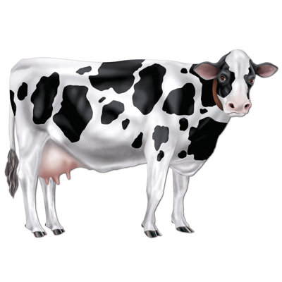 Accroche joint Farm