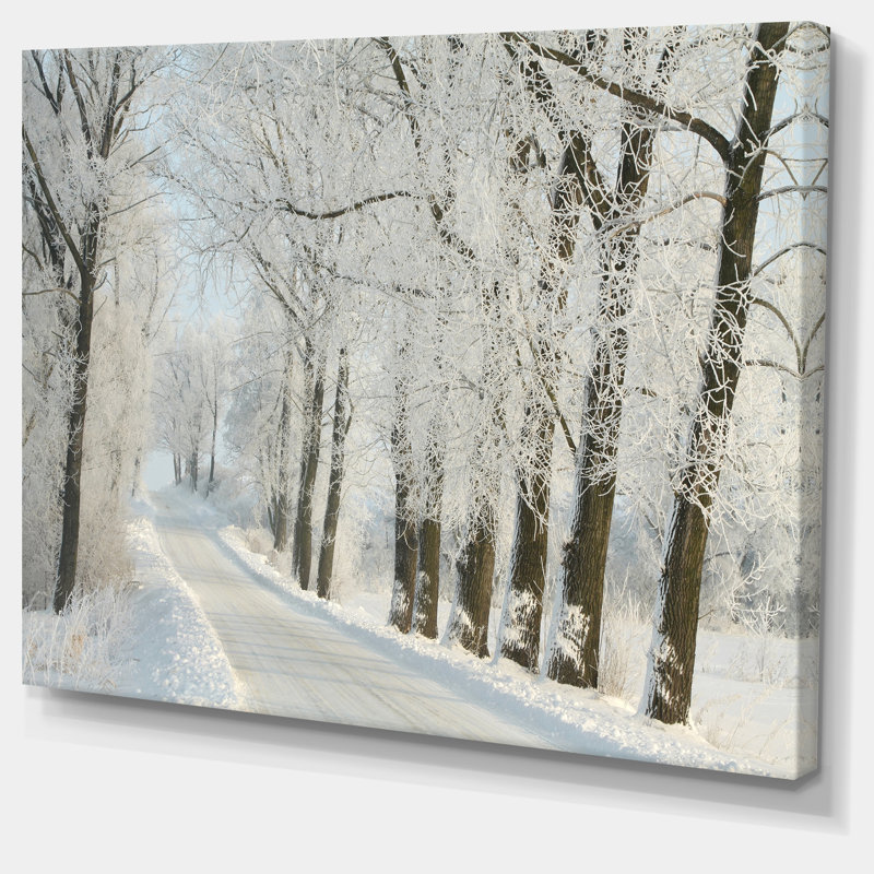 Winter Winter Road parmi les arbres givrés, impression sur toile tendue, H 30 po x l 40 po x P 1 po