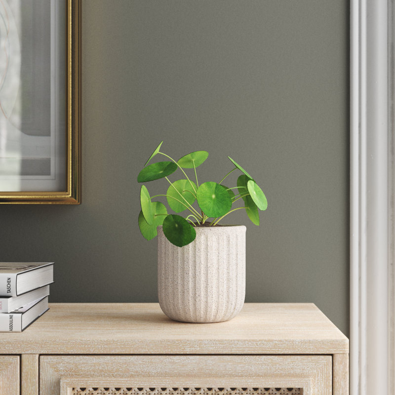 Topher Pot Planter, 5.15" H x 5.5" W x 5.15" D