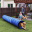 Dog Agility-124016484