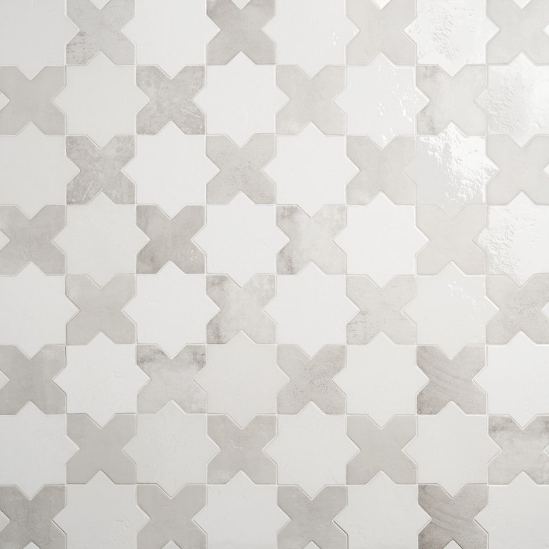 Parma Star-Crossed 6x6 Matte Terracotta Look Porcelain Floor and Wall Tile, Polished White/White