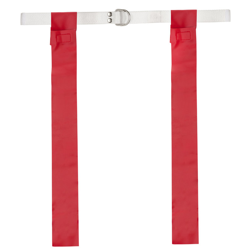 Ensemble de 12 drapeaux de football Champion Sports