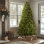 Green Spruce Artificial Christmas Tree