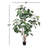 Solerno Faux Rubber Tree in Pot Liner-96810042