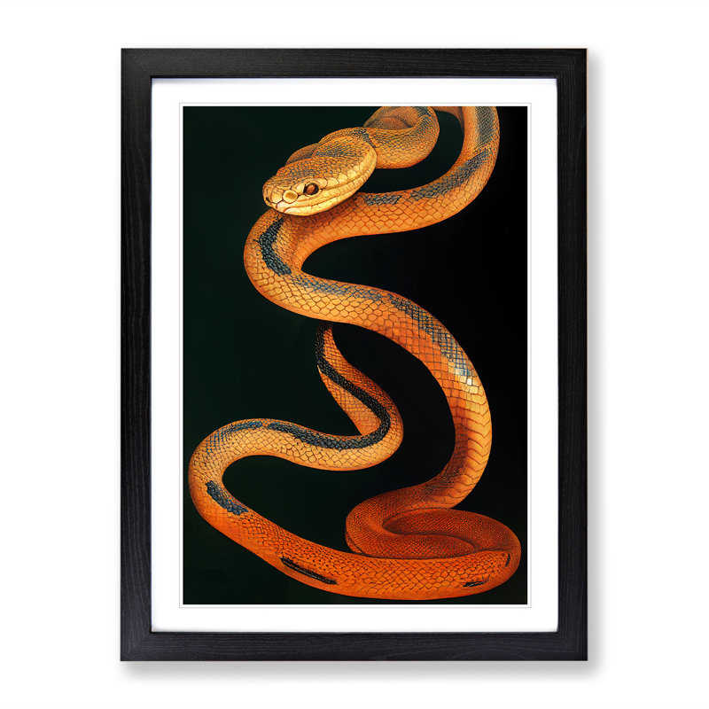 XV1022-526X Amber Snake - Single Picture Frame Print, 64cm H x 46cm W, Black