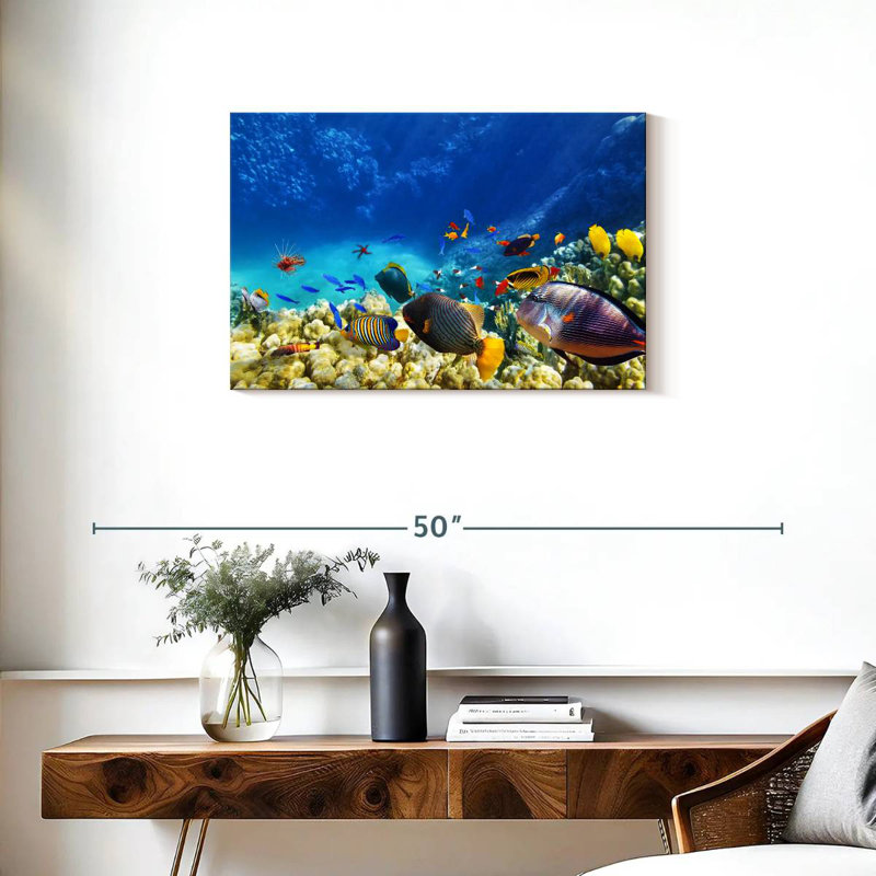 Brampt Marine Life, H 20 po x l 30 po