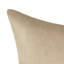  Coussin Feathers