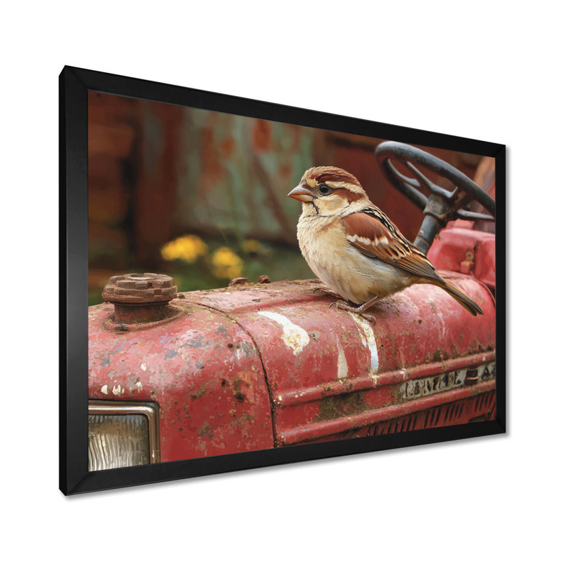 Oiseau moineau sur le tracteur II - oiseau, art mural, H 12 po x l 20 po, Avec cadre, Noir
