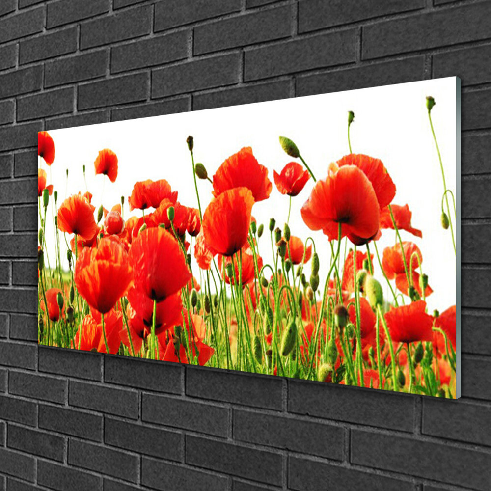 Glasbild Poppies Nature