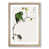 Oak Framed selected