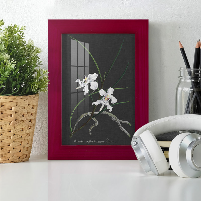 Orchidée sur ardoise II - impression d'un seul cadre photo, Rouge, H 8 po x l 6 po x P 1 po
