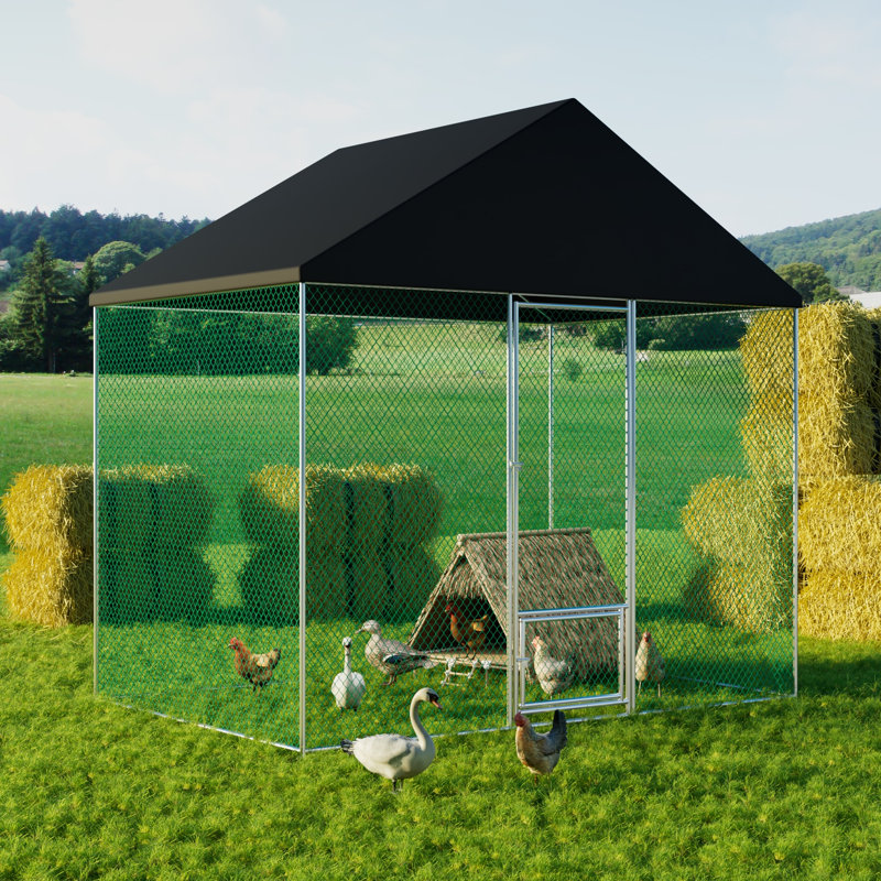 Snellville Chicken Run, 270cm H x 300cm W x 200cm D