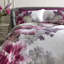 Mayfair Lady 144 TC Duvet Cover Set-44443556