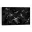Cosmic Ocean Animals Abstract Contemporary Stingray Eagle Shark Landscape Nature Wall Art Print by AlirAza CAKIR - Print-2042141257
