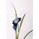 " Calla Lily 1 (Blue) " by Leigh Viner
