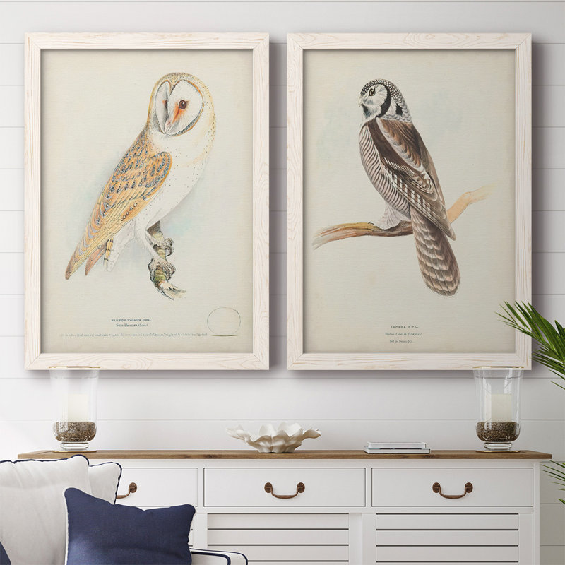 Barn Owl - reproduction de cadre photo sur toile 2 pièces, Blanc, H 27,5 po x l 75 po x P 1,5 po